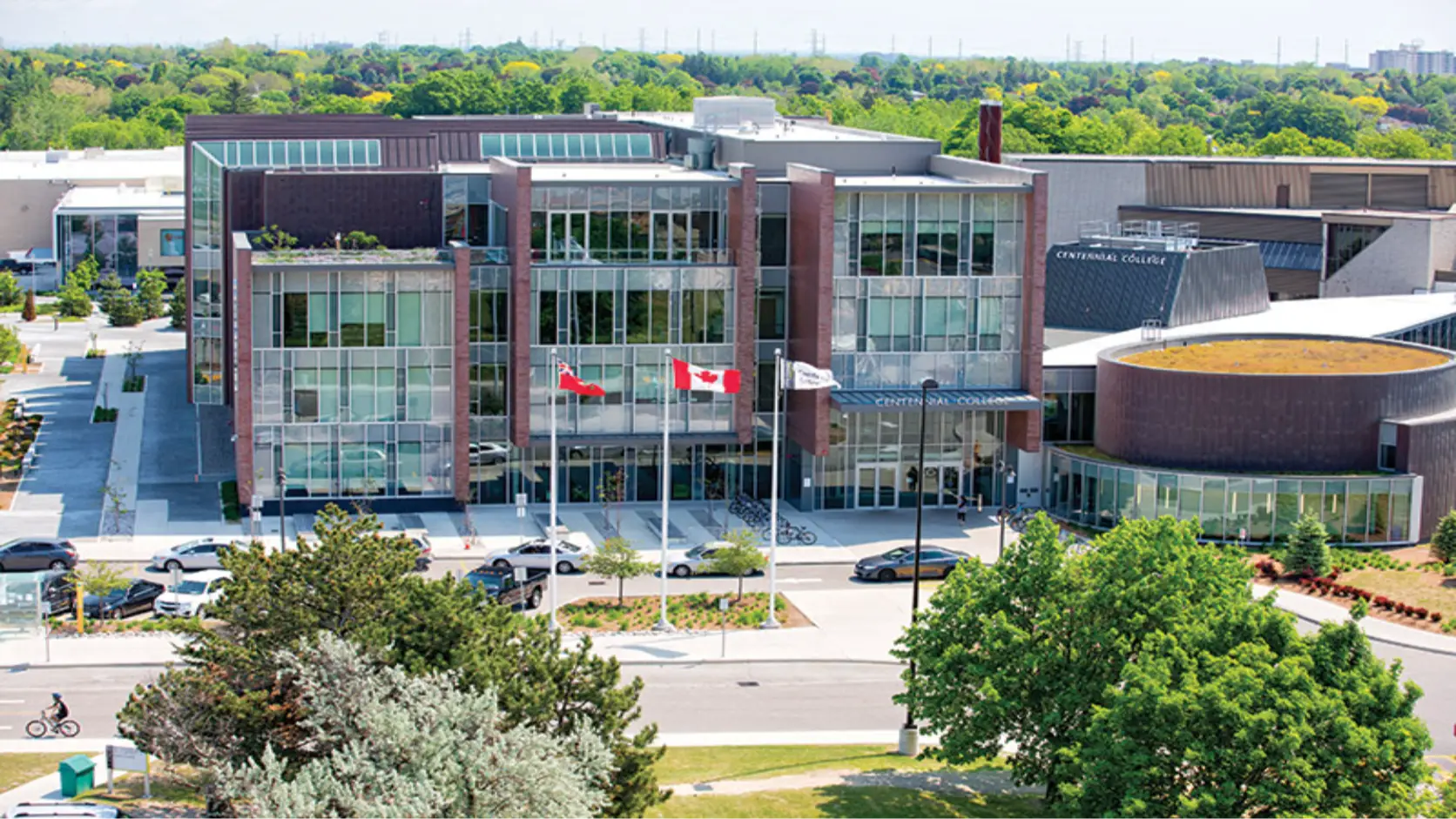 Universitet və Kollec